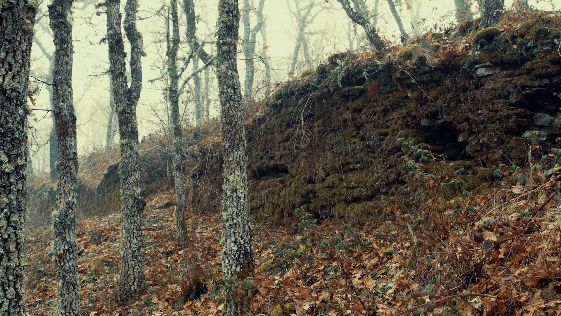 Fortificaciones, poblados y pizarras_sin subtitulos.00_00_52_20.Imagen fija004