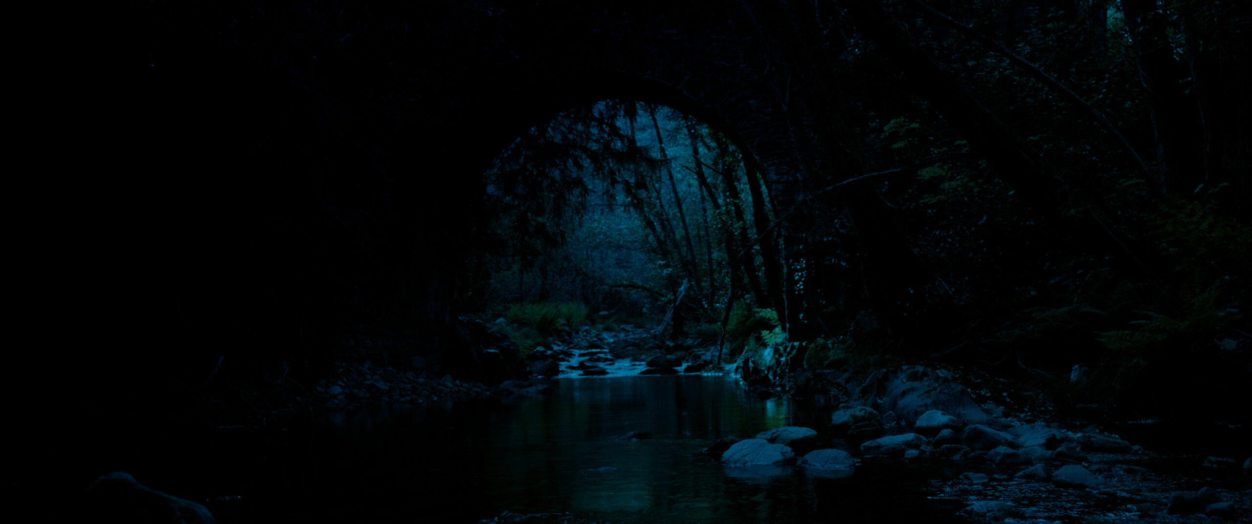 PELI POVEDA DEF.00_53_08_11.Imagen fija012