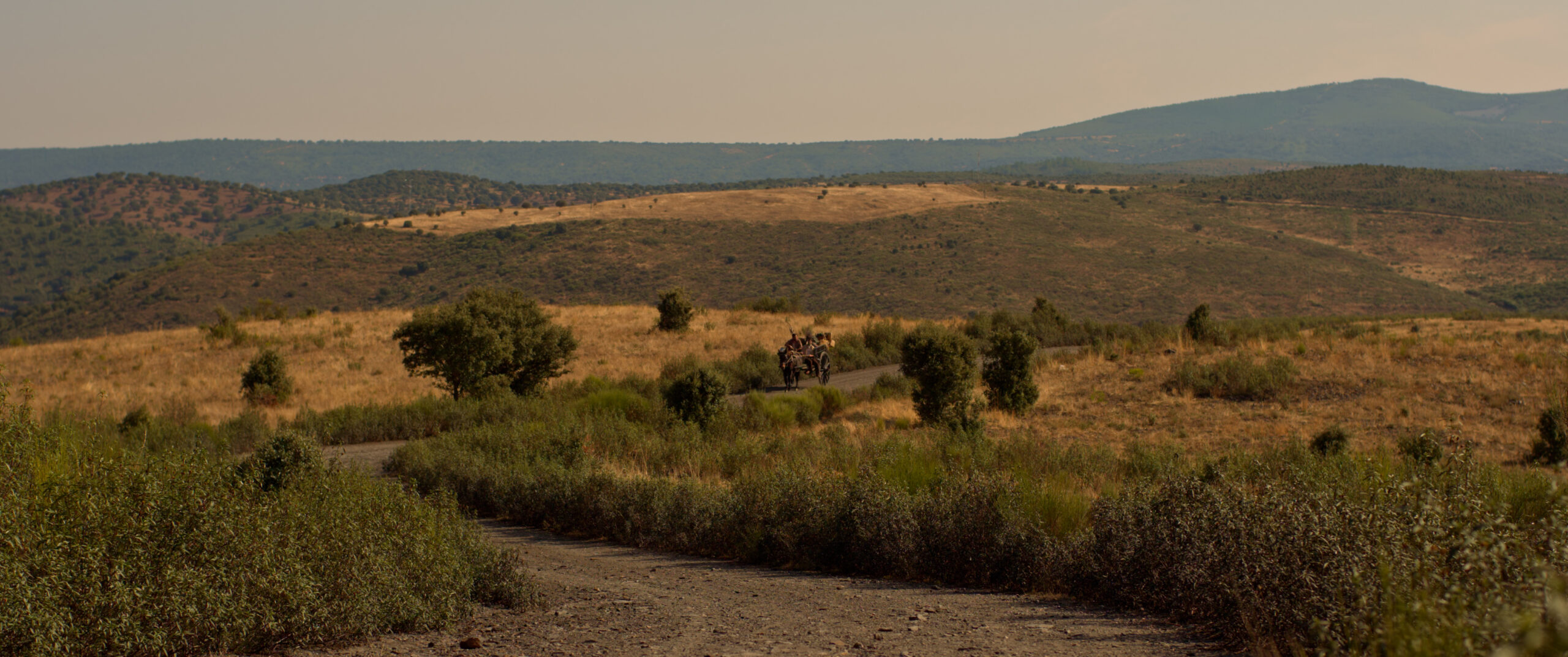 PETRA 4444XQ 250122.00_04_46_15.Imagen fija001