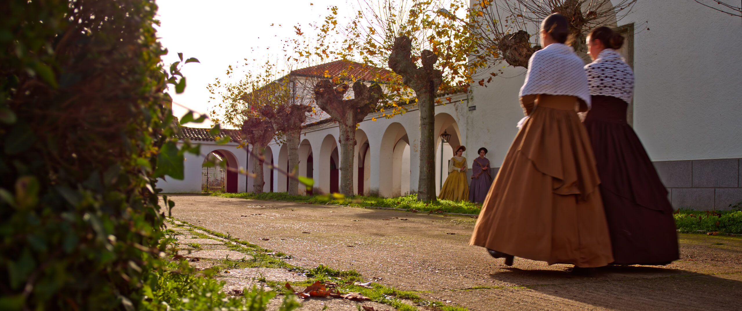 PETRA 4444XQ 250122.00_16_22_16.Imagen fija012