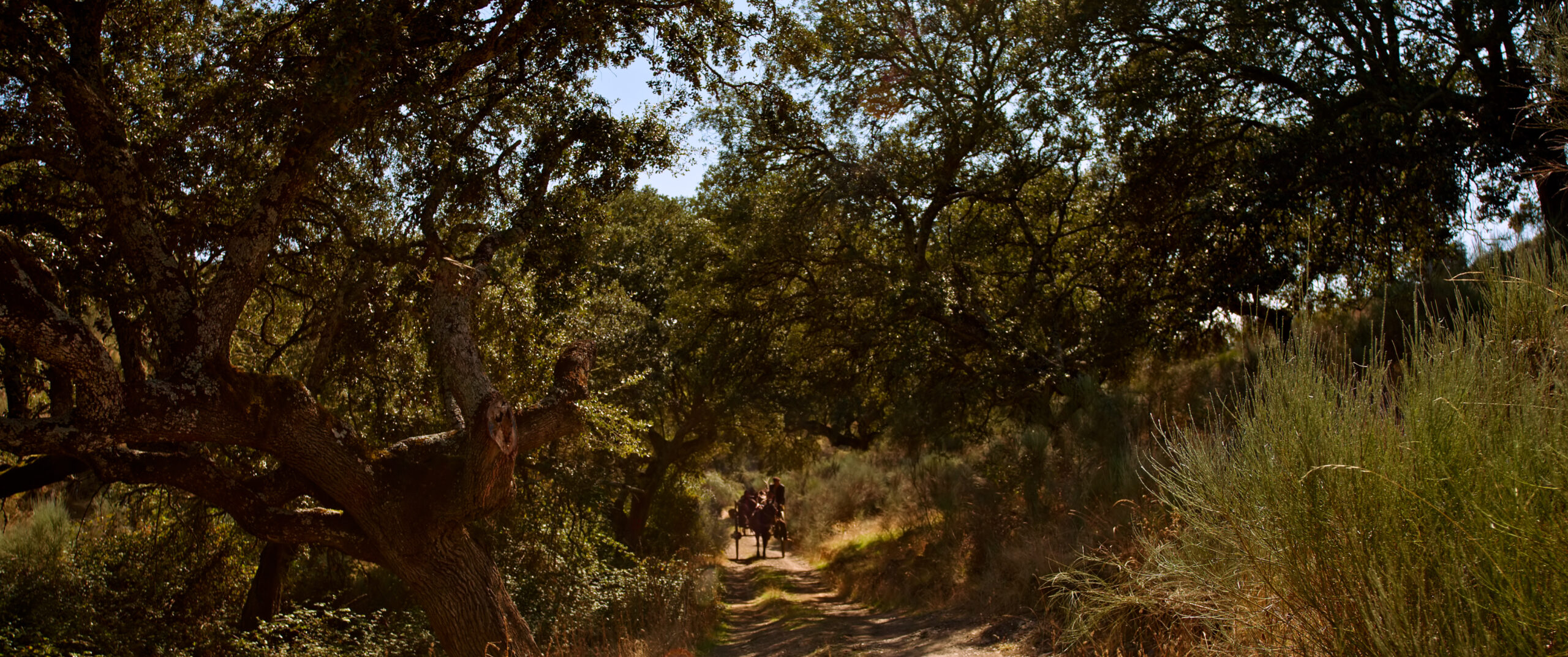 PETRA 4444XQ 250122.01_03_22_11.Imagen fija039