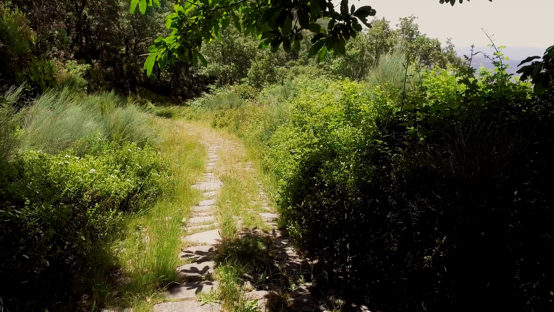 SPOT FITUR CR2021_CON LOGOS.00_03_03_11.Imagen fija011