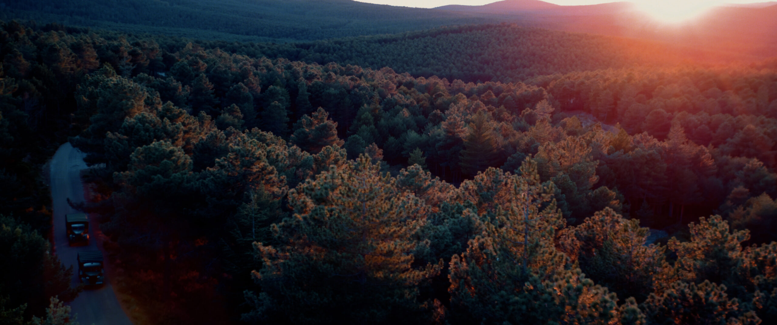 red de libertad.00_02_37_19.Imagen fija001