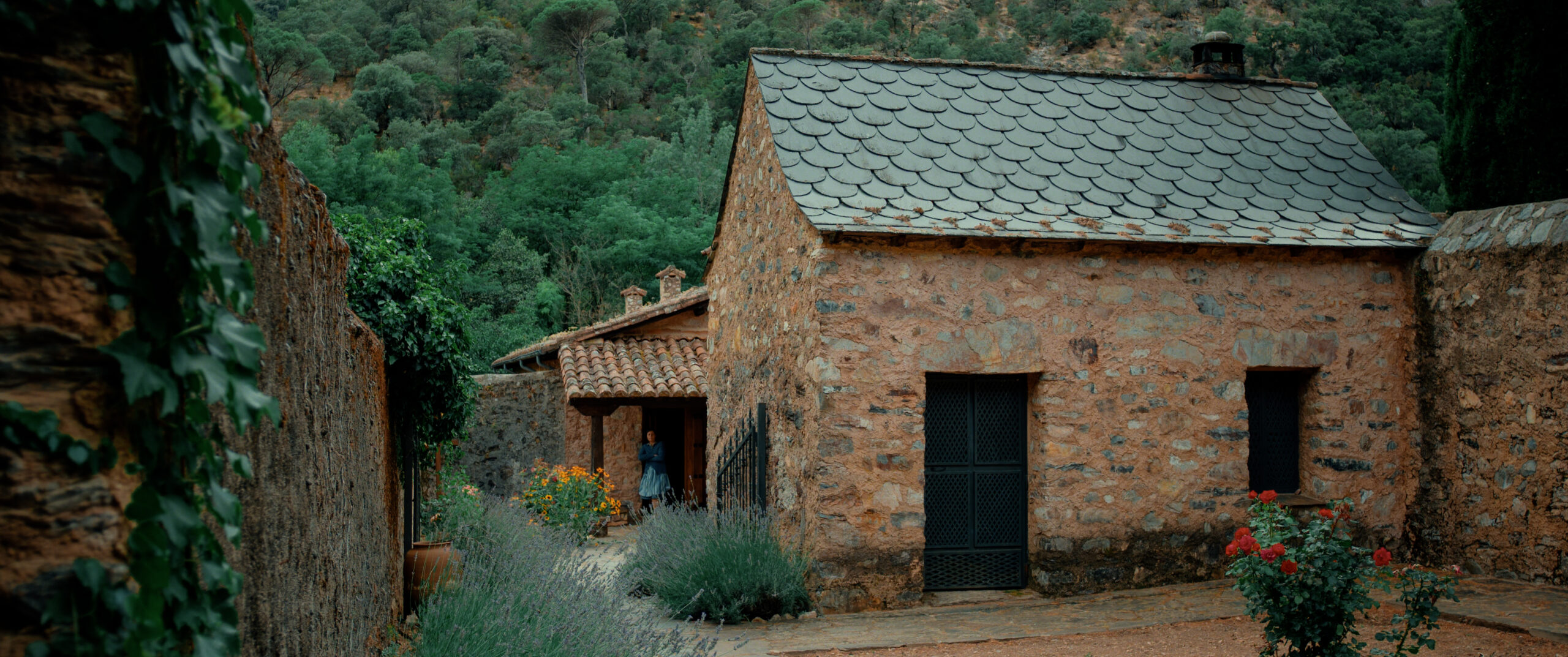 red de libertad.00_42_33_12.Imagen fija014