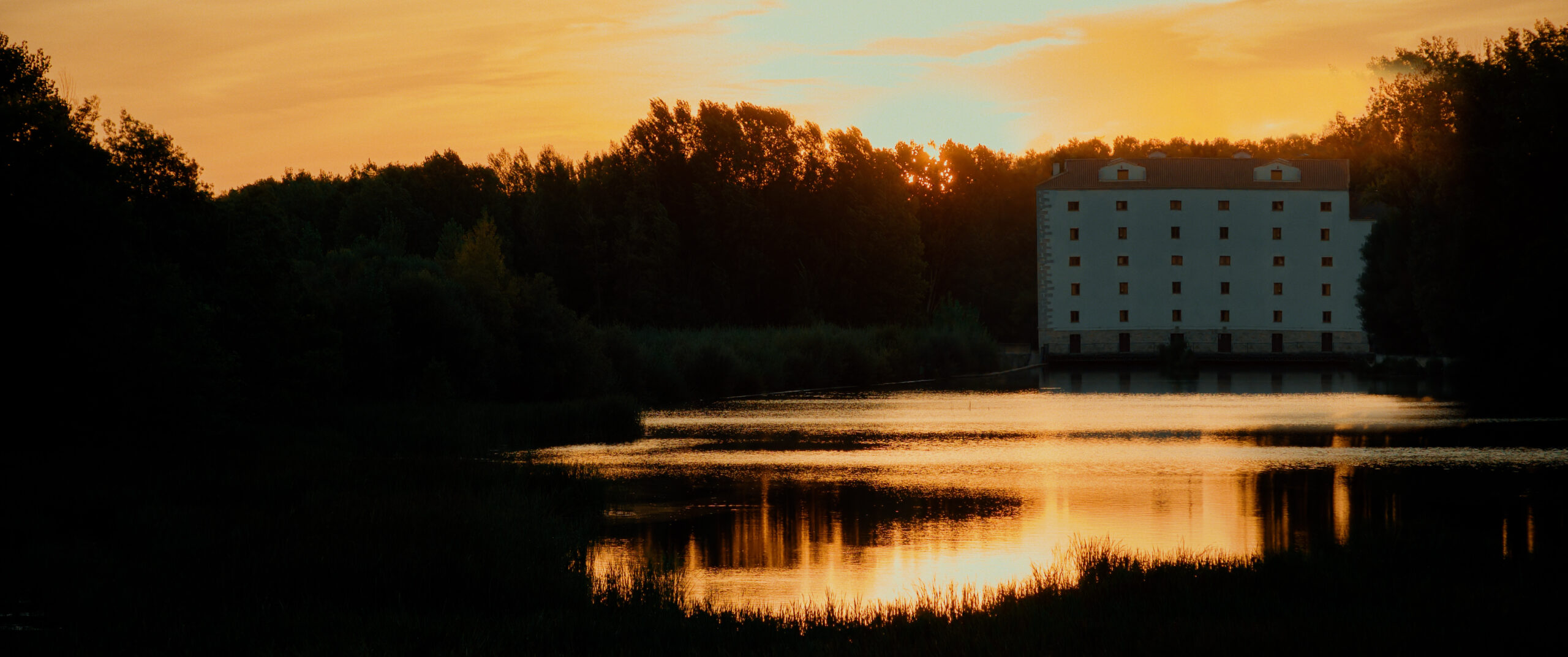 red de libertad.01_50_02_15.Imagen fija035