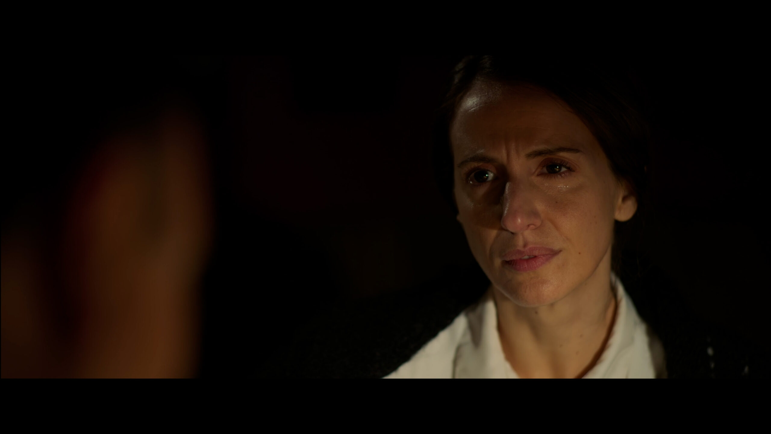 CLARET_STELLARUM FILMS.01_22_01_14.Imagen fija025